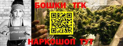 спиды Гатчина