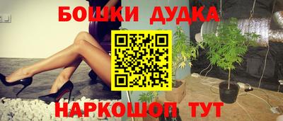 спиды Гатчина