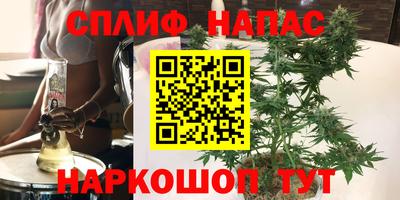 спиды Гатчина