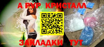 спиды Гатчина