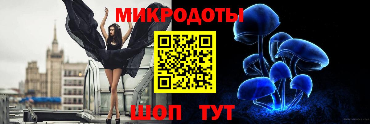 Псилоцибиновые грибы Psilocybine cubensis Вятские Поляны